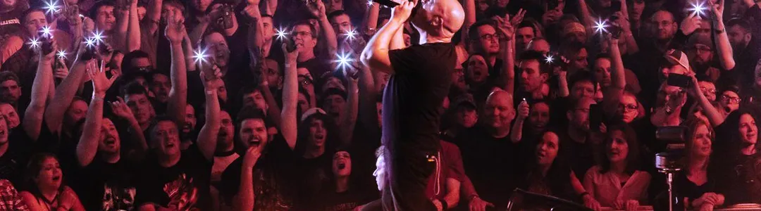 Disturbed