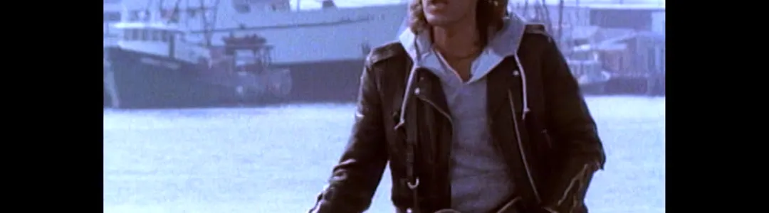 John Cafferty and The Beaver Brown Band