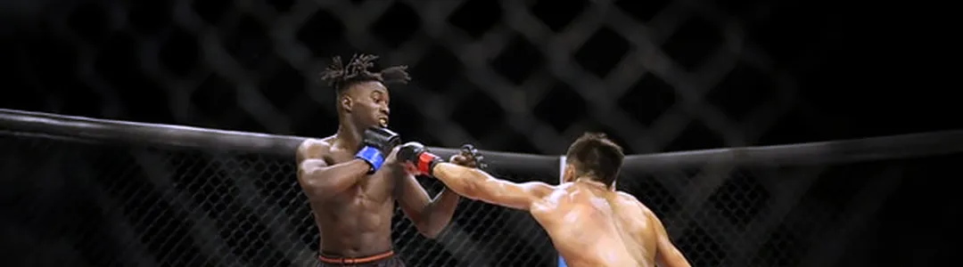 Legacy Fighting Alliance