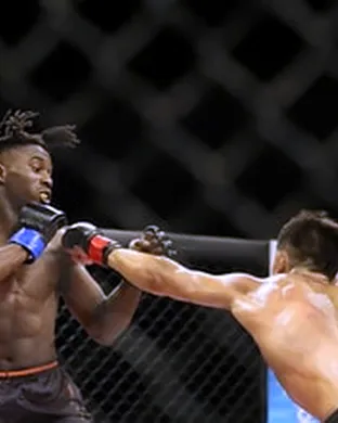 Legacy Fighting Alliance 233