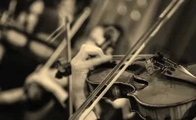 Lord of The Rings & The Hobbit In Concert