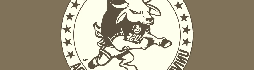 South Florida Bulls